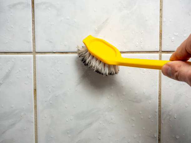 Best Commercial Mold Remediation in Berlin, NJ