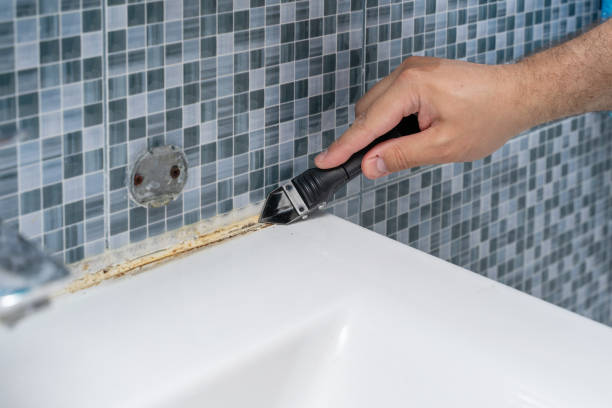 Best Residential Mold Remediation in Berlin, NJ